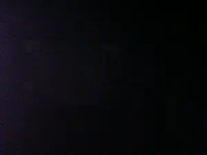 Cam4 Live Sex Cam of antpa803