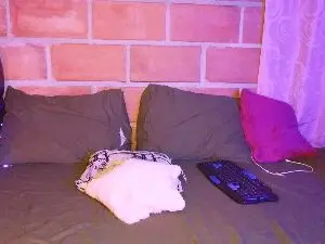 Cam4 Adult Video Chat of SELEENA_01
