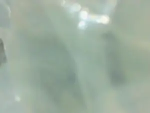 Cam4 Watch Live Sex Cams of charlesgato