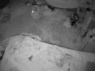 Camsoda Sex Chat of voyeurcam-julmodels-whitebed-5
