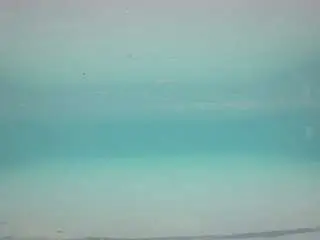 Camsoda Live Porn of voyeurcam-casa-salsa-pool-1