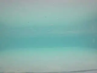 Camsoda Private Sex Chat of voyeurcam-casa-salsa-pool-1