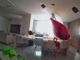 Camsoda Sex Cam of voyeurcam-casa-salsa-fishtank