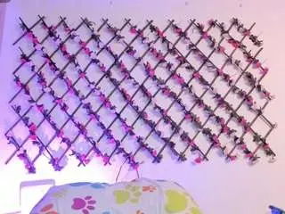 Camsoda Best live sex cam show of naughtyebonyy