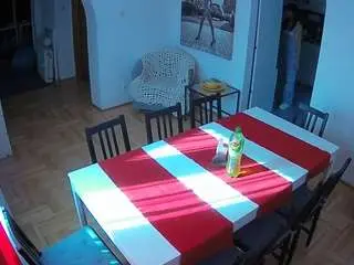 Camsoda Live Porn of voyeurcam-julmodels-dining