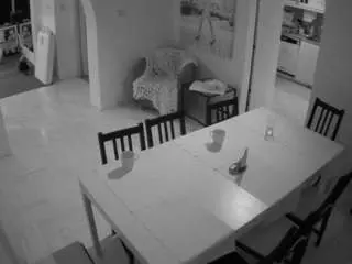 Camsoda Adult Webcam of voyeurcam-julmodels-dining