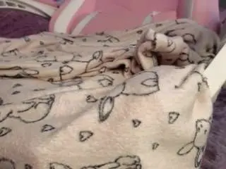 Camsoda Live Sex Cam of tofumuch