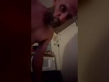 Chaturbate Adult Webcam of waynedangle