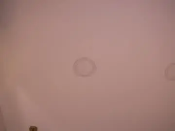 Chaturbate Free Porn Cam of abby_me