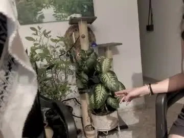 Chaturbate Adult Webcam of sexnherbs