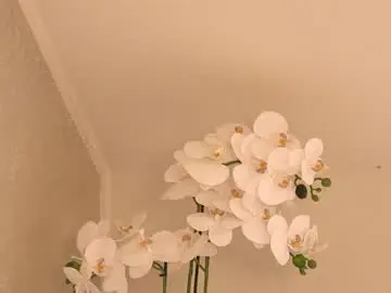 Chaturbate Sex Chat of cassiemiles