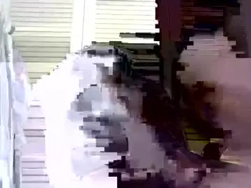 Chaturbate Live Porn of nolimitger