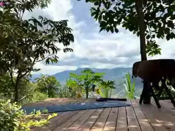 Chaturbate Live Sex of valentin_hoffman