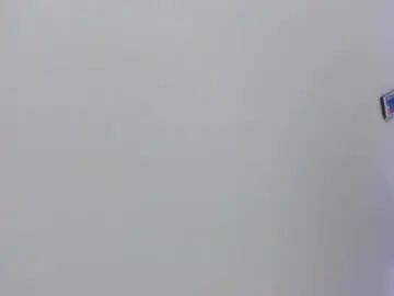 Chaturbate Adult Video Chat of velvet_giirll