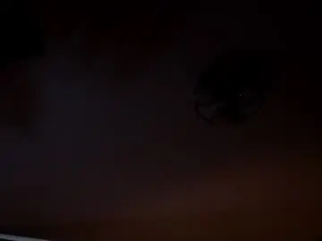 Chaturbate Free Live Porn of bridgetbottrell