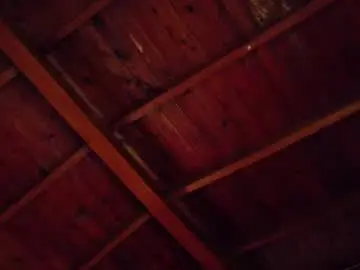 Chaturbate Free Live Porn of andymaxx_