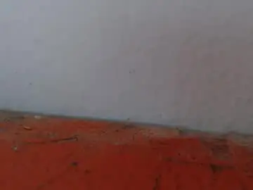 Chaturbate Live Sex Cam of alexamdergal