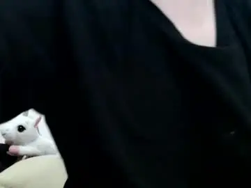 Chaturbate Live Sex of tinyslut66