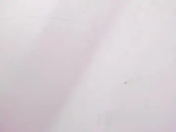 Chaturbate Live Sex of mia_tailor_bms