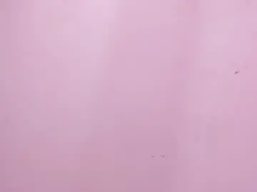 Chaturbate Sex Chat of mia_tailor_bms