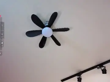 Chaturbate Adult Webcams of antonellastar24_
