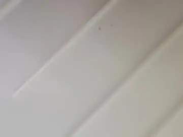 Chaturbate Sex Cam of zaingadol99