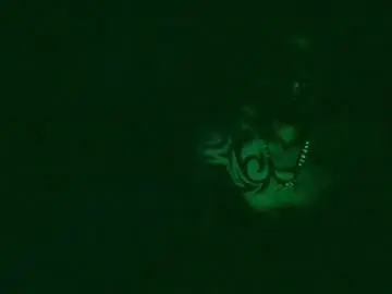Chaturbate Live Sex Cam of toxicidad_sex