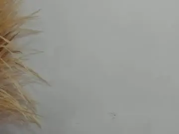 Chaturbate Live Sex of charlotte_pleasure