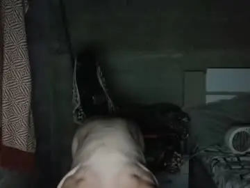 Chaturbate Live Sex Cam of hebarsensei