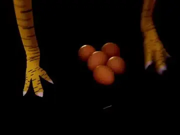 Chaturbate Adult Webcams of feetvibe