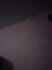 Dscgirls Private Sex Chat of Shamrinee 