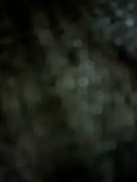 Stripchat Live Porn of Mr_hottie_21