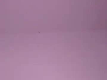 Stripchat Sex Chat of Princess_tina