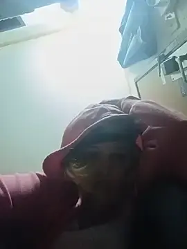 Stripchat Sex Cam of KITTYBOOBOOFUXX
