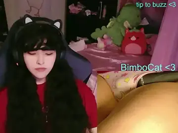 Stripchat Best Webcam of BimboCat