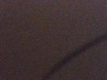 Stripchat Best Webcam of pietje1991