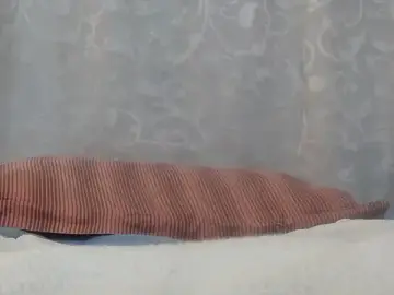 Stripchat Live Porn of Bunnyxx01