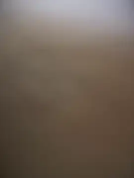 Stripchat Adult Video Chat of sammyqueenx21