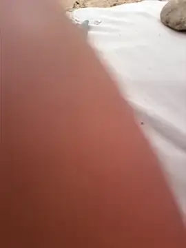 Stripchat Best live sex cam show of SexyErola27