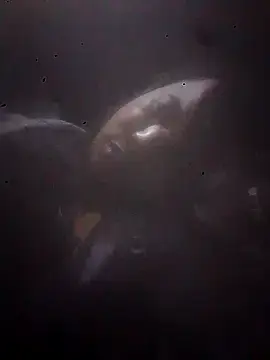 Stripchat Free Porn Cam of R-ant12