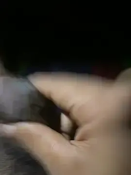 Stripchat Best live sex cam show of chemicrise