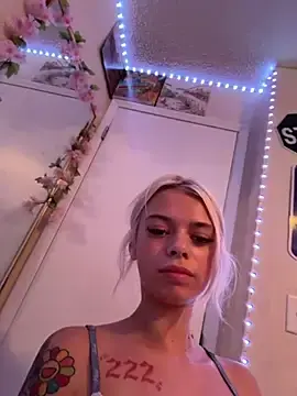 Stripchat Adult Webcams of Terribletabby