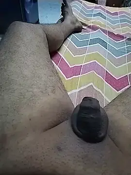 Stripchat Free Live Porn of subhjann12