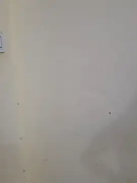 Stripchat Live Sex of Neha_rani78
