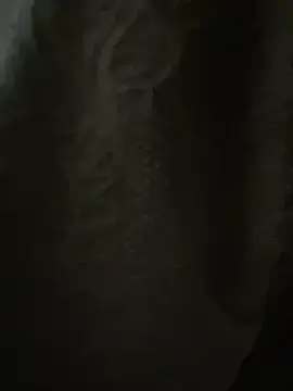 Stripchat Live Porn of sofia_xxx02