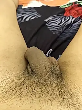 Stripchat Free Porn Cam of Hard_Core_Fucker